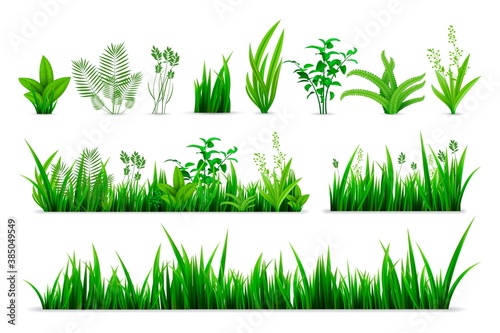 Realistic spring grass set. Collection of realism style drawn green fresh plants or garden seasonal botanical greens herbs leaves mockup. Illustration of natural lawn meadow bushes template.
