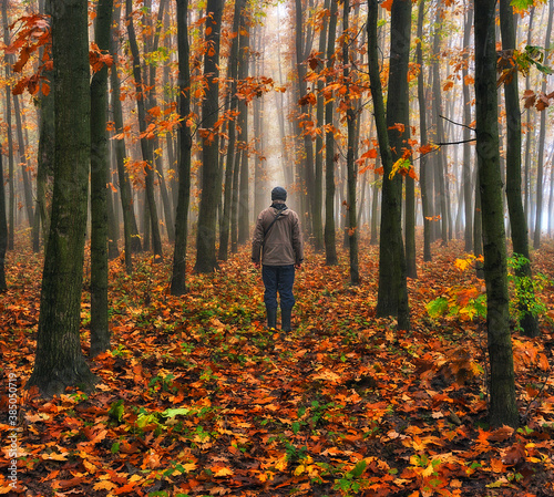 Man walking in fantasy autumn forest. Silhouette of a man in a dark and foggy forest