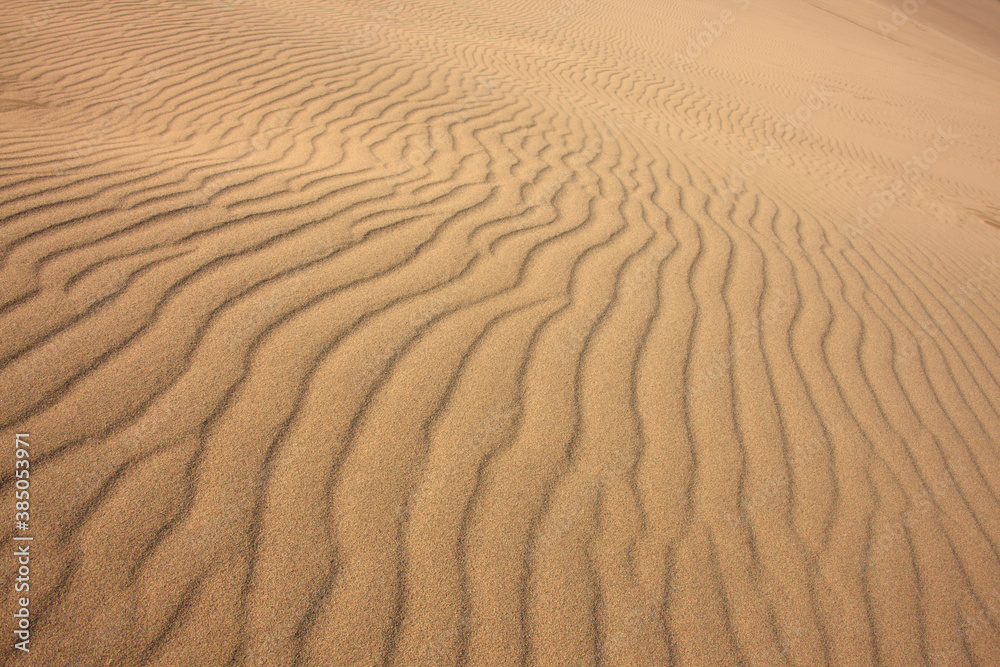 Obraz premium 鳥取砂丘の風紋