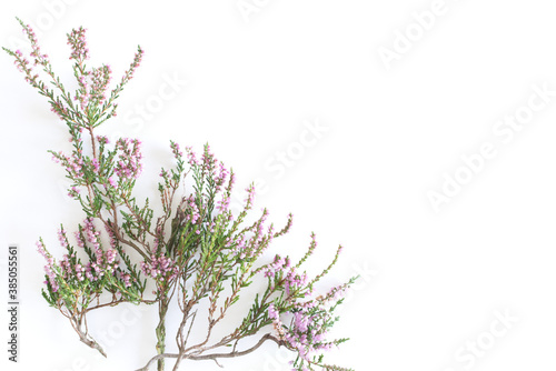 Styled stock photo. Autumn scene, floral composition. Decorative banner, corner made of beautiful heather. White table background. Flat lay, top view.