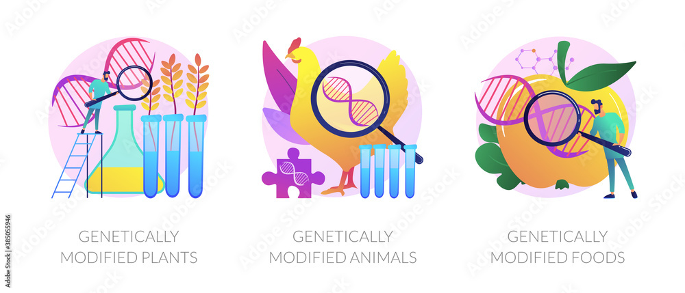 Gene modification, genetic engineering. Genetically modified plants, genetically modified animals, genetically modified foods metaphors. Vector isolated concept metaphor illustrations.