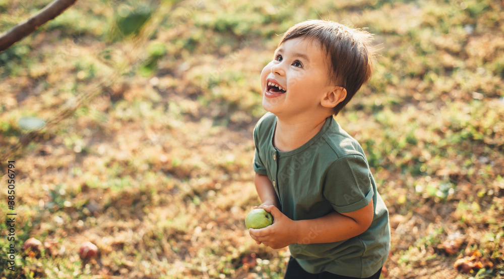 Cheerful caucasian boy holding an apple and looking up at the tree while playing in a field during the international children's day Cheerful caucasian boy holding an apple and looking up at the tree while playing in a field during the international children's day