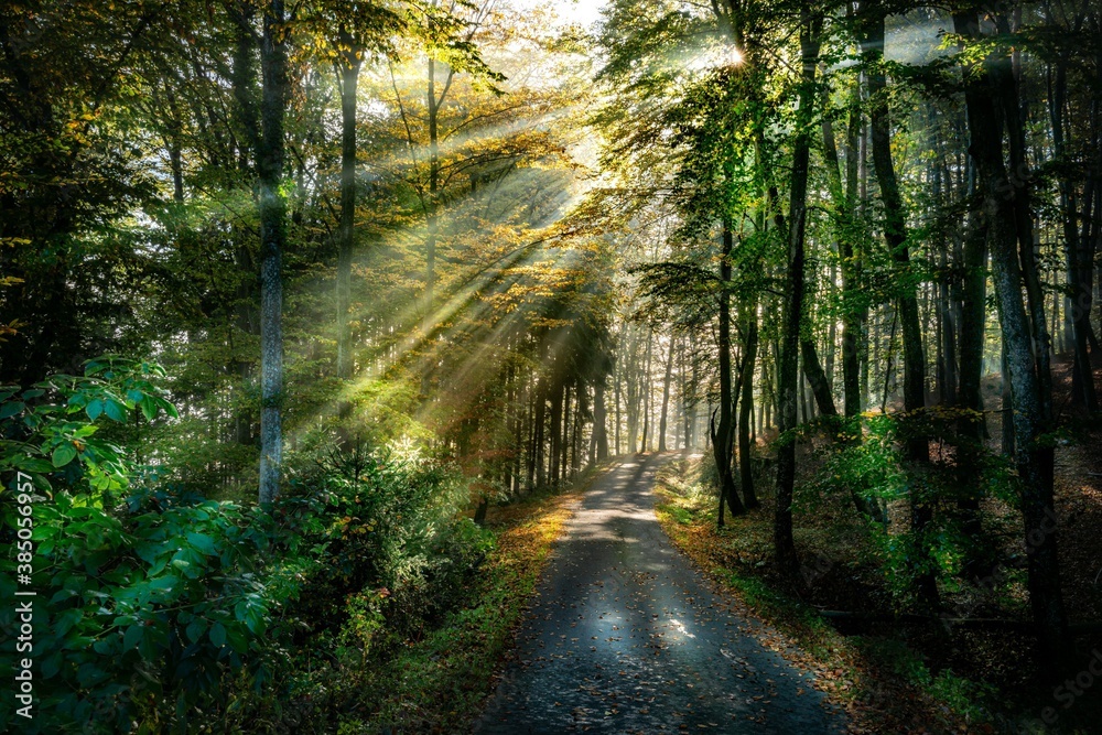 Obraz premium Sonnenstrahlen