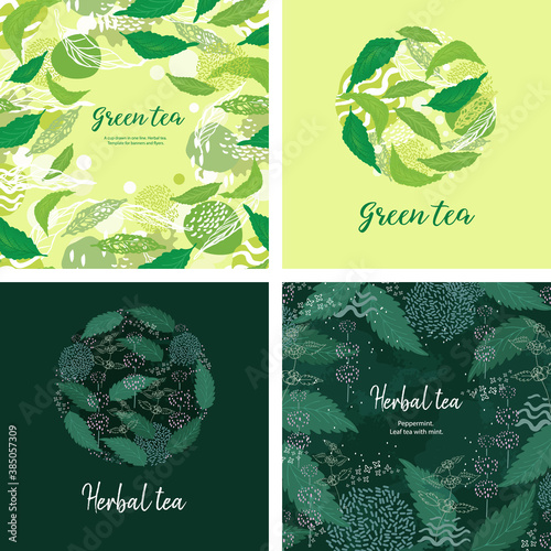 Tea card design. Tea with peppermint. Green background. Square banner.