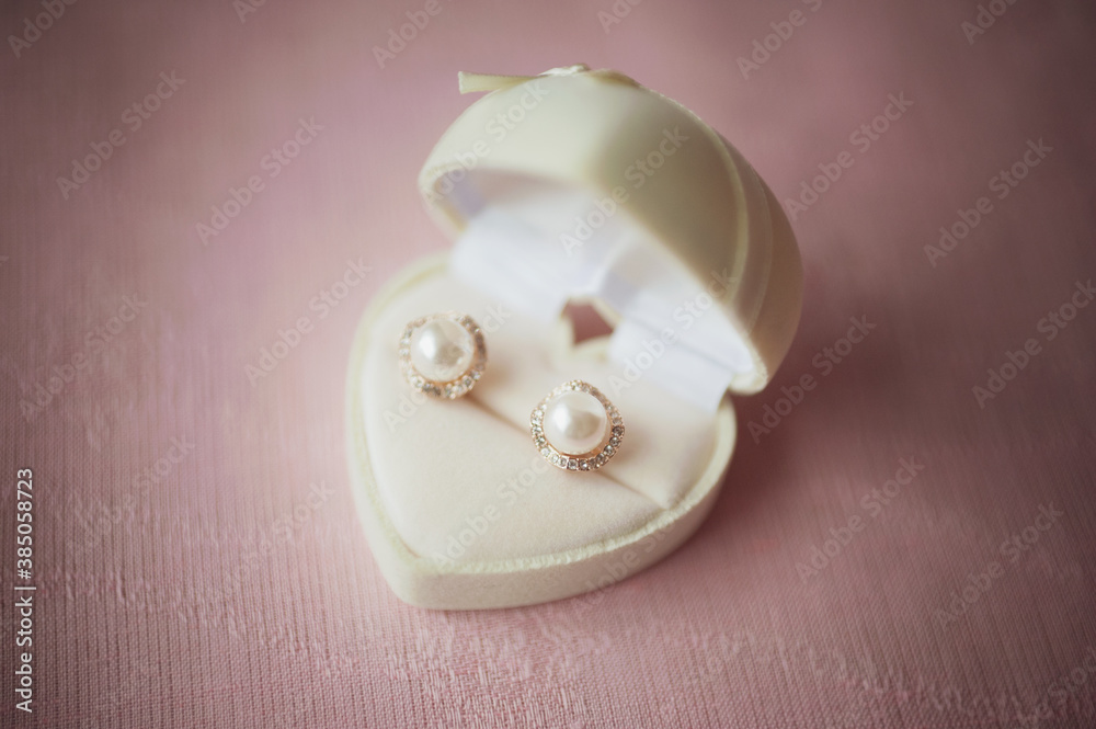 White earl earrings in a box for jewelry. Gift for the beloved lady on the anniversary, wedding or birthday on the dust pink background. Elegance classic rosy gold pearl bridal (wedding) earrings. White earl earrings in a box for jewelry. Gift for the beloved lady on the anniversary, wedding or birthday on the dust pink background. Elegance classic rosy gold pearl bridal (wedding) earrings.