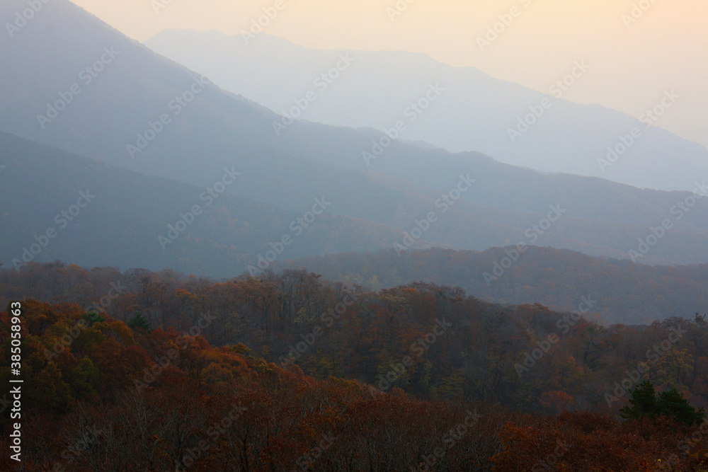 蒜山の日の出