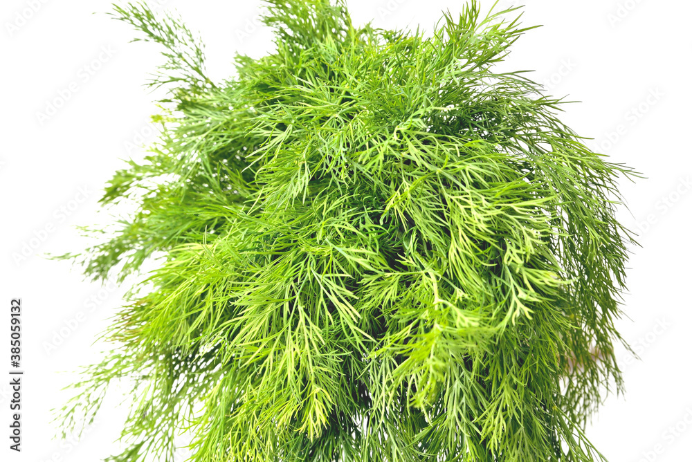 Fototapeta premium dill, fresh natural dill on a white background, ingredients for kitchen and healthy food, green spices for cooking