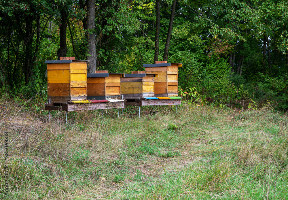 Beekeeping with wooden beeyards Beekeeping with wooden beeyards