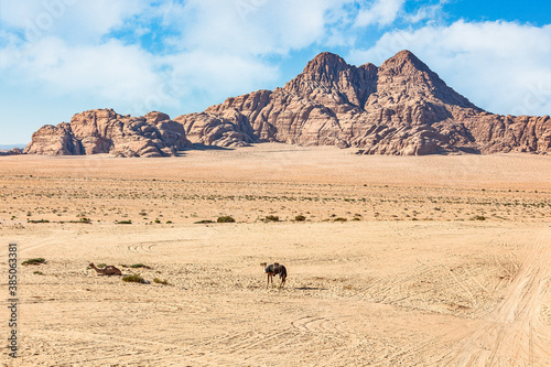 Wadi Rum Jordania