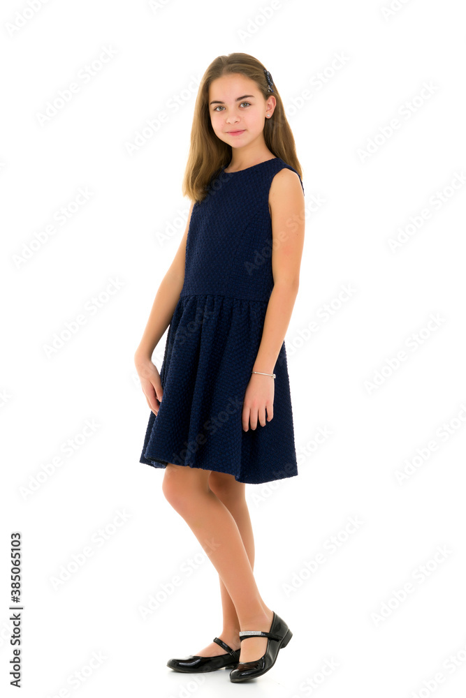 Little girl in an elegant dress.The concept of a happy childhood Little girl in an elegant dress.The concept of a happy childhood
