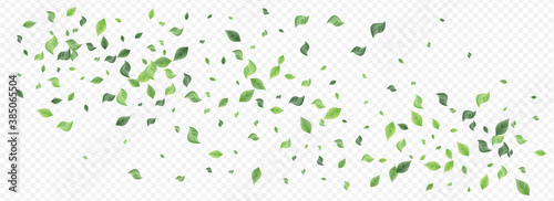 Grassy Foliage Tree Vector Panoramic Transparent 