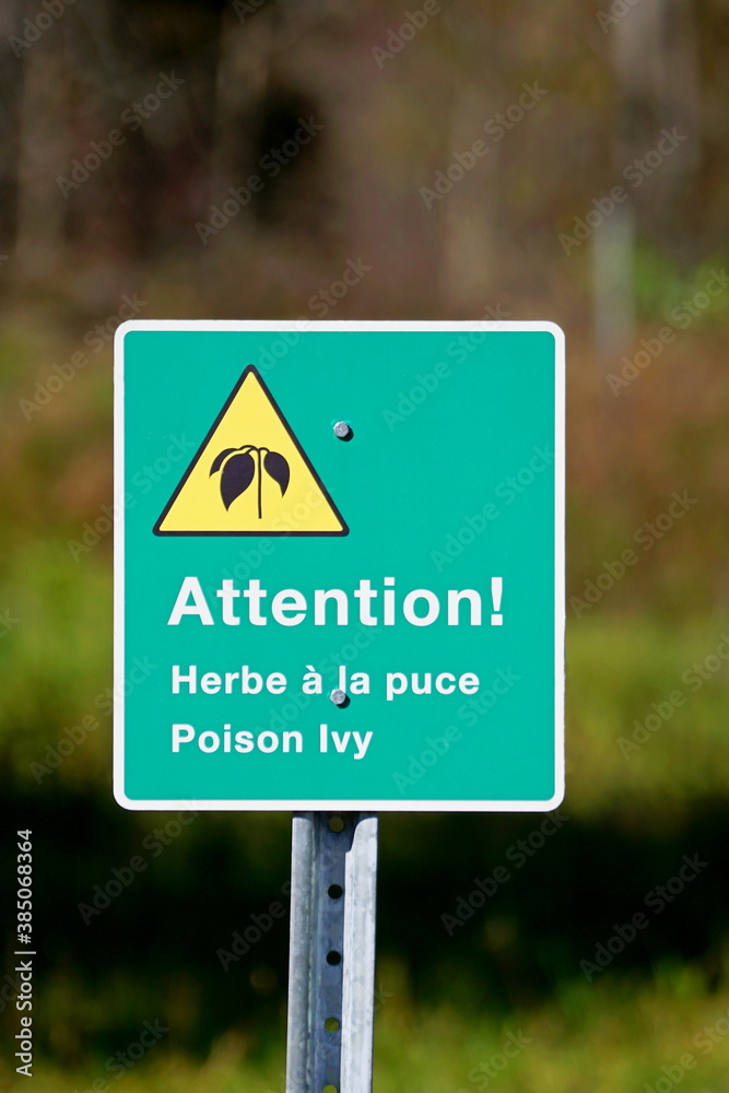 Close-up of a poison ivy zone  blingual sign with an ivy illustration-Toxicodendron radicans