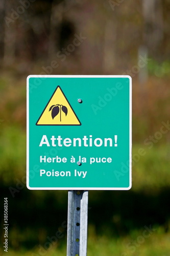 Close-up of a poison ivy zone blingual sign with an ivy illustration-Toxicodendron radicans