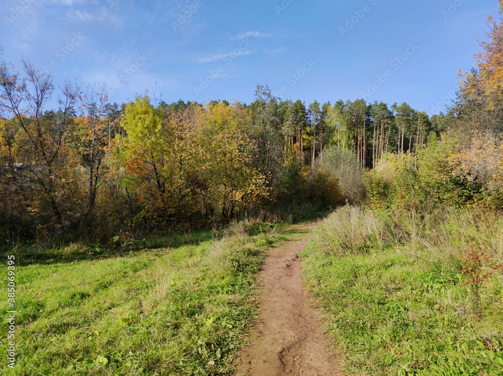 blue sky over the forest on a sunny autumn day blue sky over the forest on a sunny autumn day