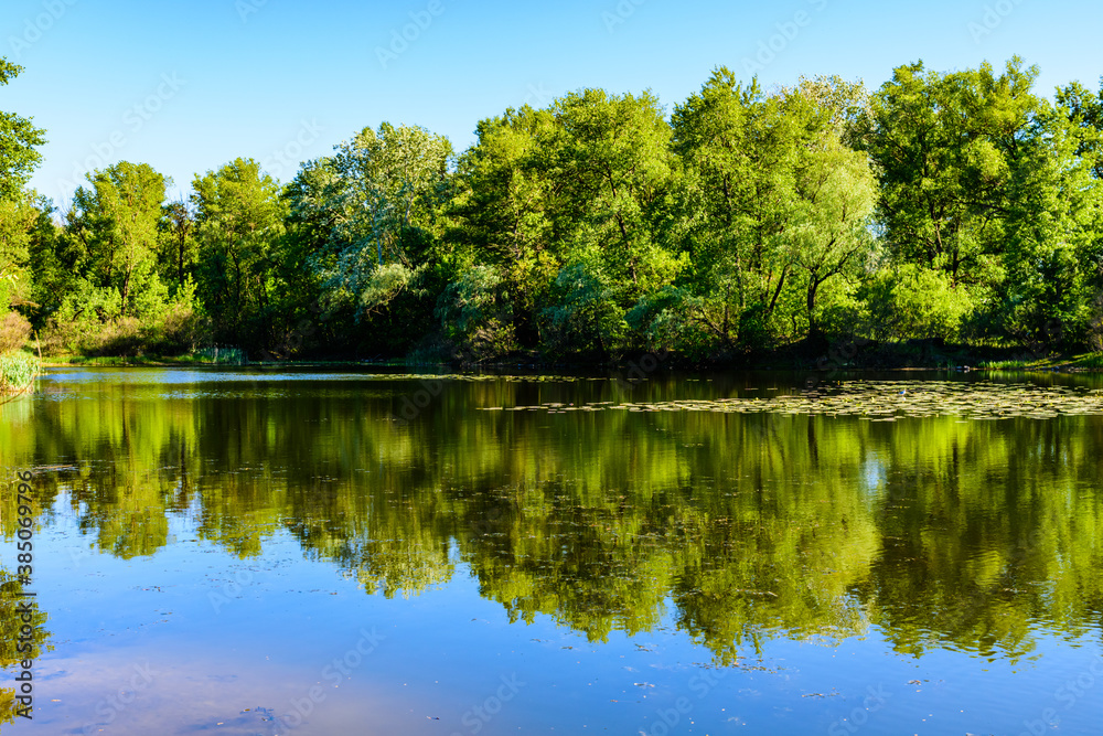 Lake in the forest on summer. Reflection of trees in water Lake in the forest on summer. Reflection of trees in water