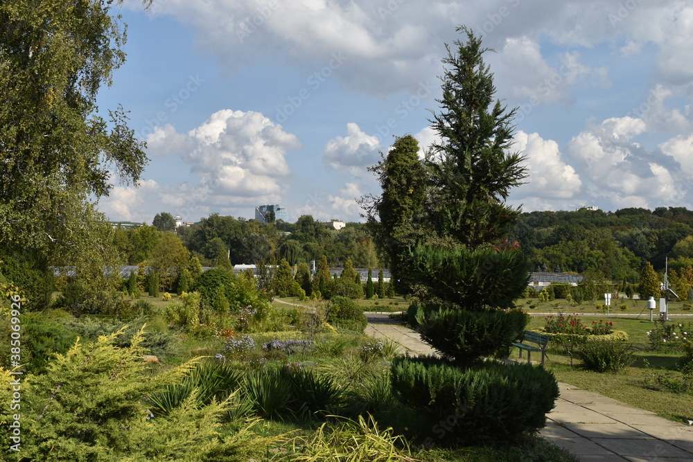 A green park in the golden autumn