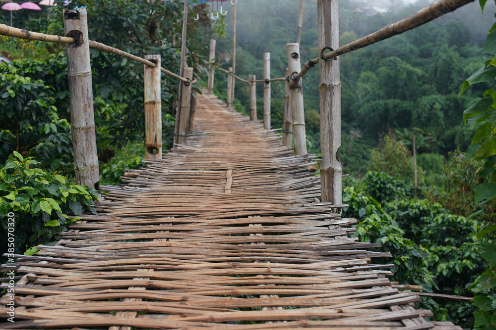 Bamboo bridge On the mountain
