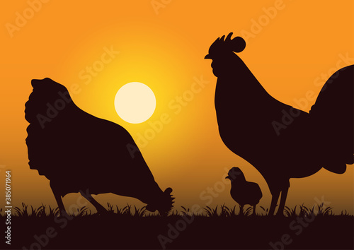 stock vector silhouette rooster, hen and chick in the grassland graphic illustration