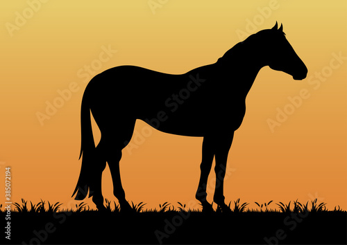 stock vector silhouette horse in the grassland graphic illustration