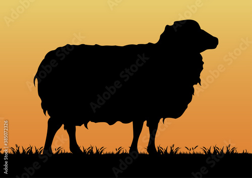 stock vector silhouette sheep in the grassland graphic illustration