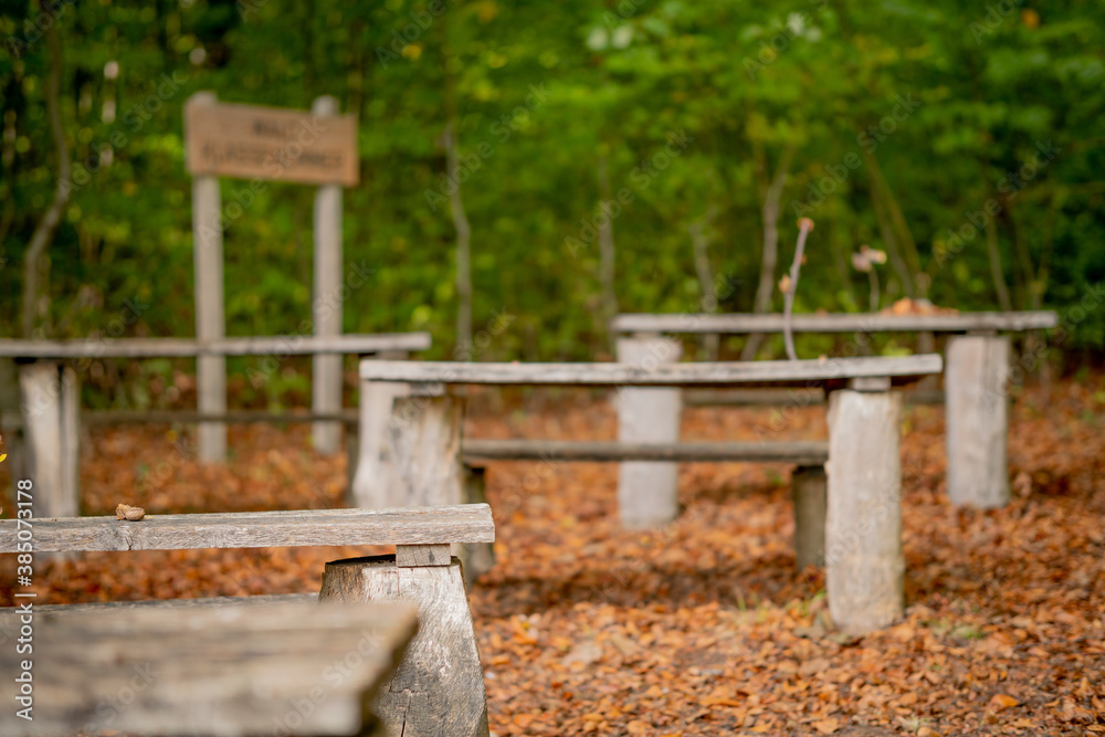 Image of a class with desks in the autumn forest. Remote education. Image of a class with desks in the autumn forest. Remote education.