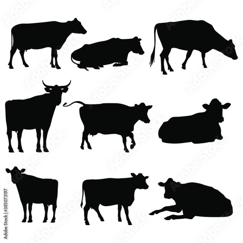 stock vector set cattle silhouettes collection isolated on white