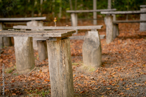 Image of a class with desks in the autumn forest. Remote education.
