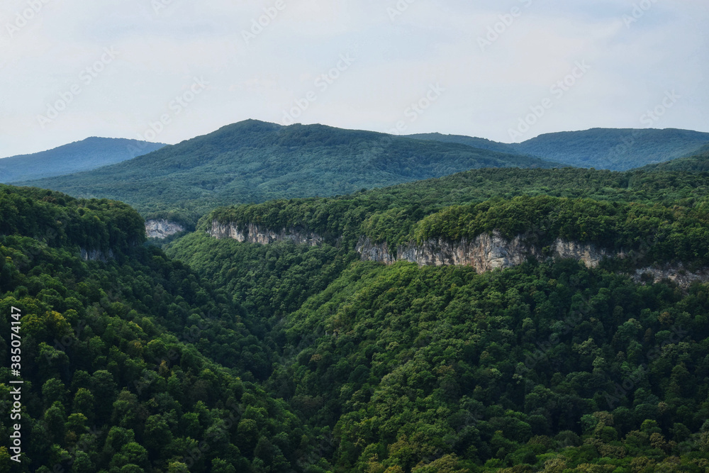 Naklejka premium Green forest slopes of the Adygea mountains, Adygea Republic of Russia