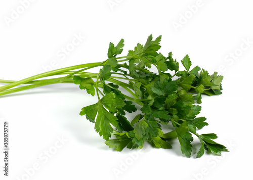 green parsley on white