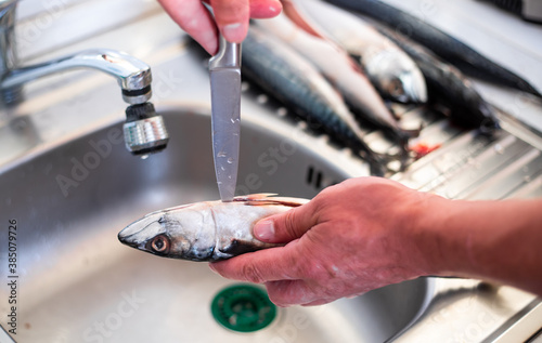 Process of filleting or preparing a fish to cook, food concept