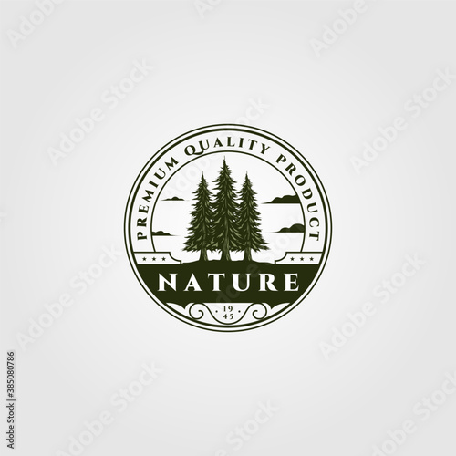 pine tree emblem vector illustration design, vintage spruce badge design