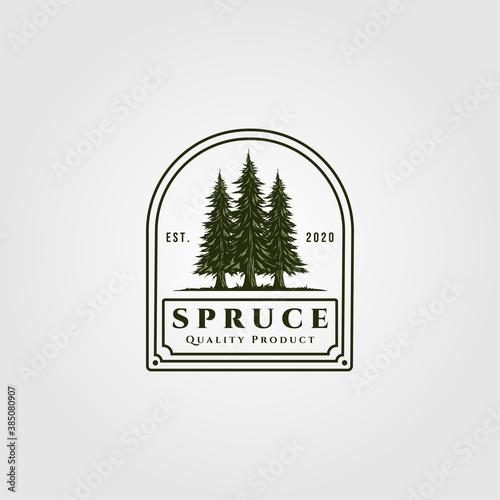 spruce badge vector illustration design, vintage pine tree logo design