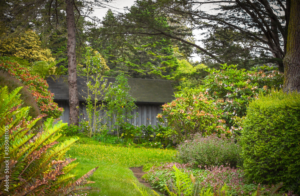 Lushy landscaped yard with rustic outbuilding in autumn among the pines Lushy landscaped yard with rustic outbuilding in autumn among the pines