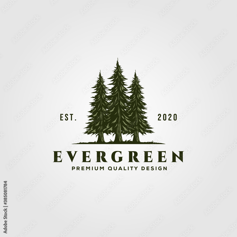 evergreen logo vintage illustration design, pine trees logo