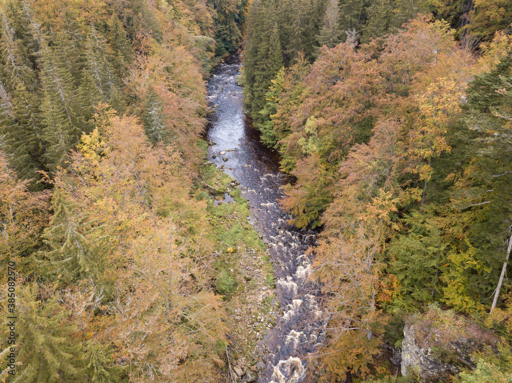 Aerial view of the autumn forest and small stream.
Way along the river in the mountains covered with green and colorful forest, top view. Sunny day.
Picture from the air.