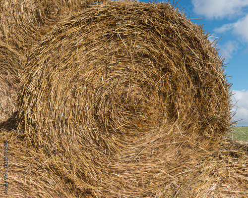 harvesting straw from fields;