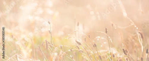 Blurred of nature outdoor bokeh background