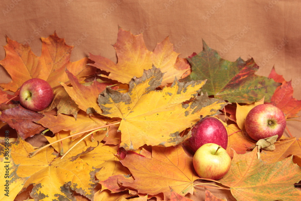 Autumnal still life with apples and leaves.
Harvest, thanksgiving.
autumn background.
Autumnal still life with apples and leaves.
Harvest, thanksgiving.
autumn background.