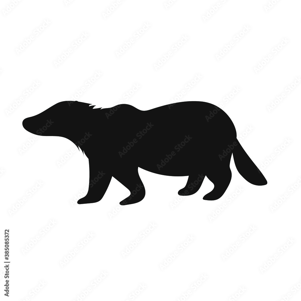 Obraz premium Silhouette of a wild animal badger, black on a white background, vector illustration