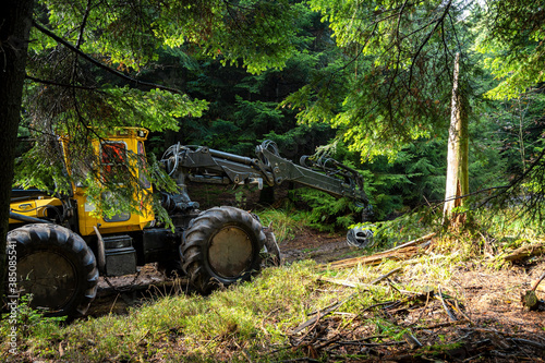 A heavy tree-felling machine in the Black Forest that has left deep marks in the mud