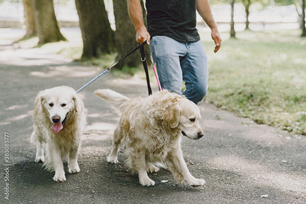 Guide dog helping blind man in the city. Handsome blind guy have rest with golden retriever in the city. Guide dog helping blind man in the city. Handsome blind guy have rest with golden retriever in the city.