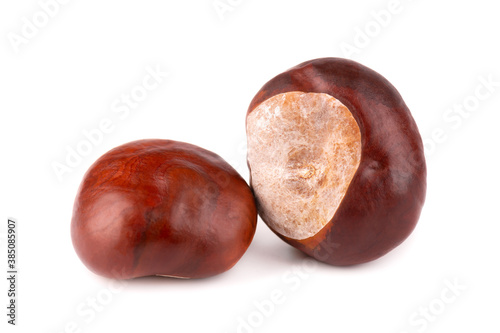 Horse chestnuts fruits, isolated on white background. Aesculus hippocastanum.