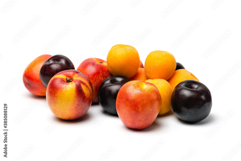 nectarine, peach and plum on a white background nectarine, peach and plum on a white background