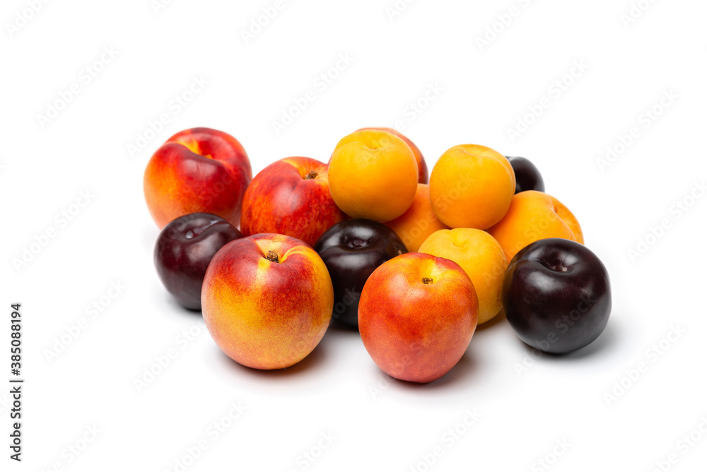 nectarine, peach and plum on a white background nectarine, peach and plum on a white background