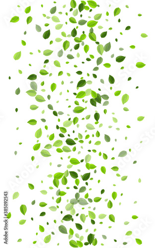 Lime Greens Tea Vector Design. Wind Leaf Pattern. 