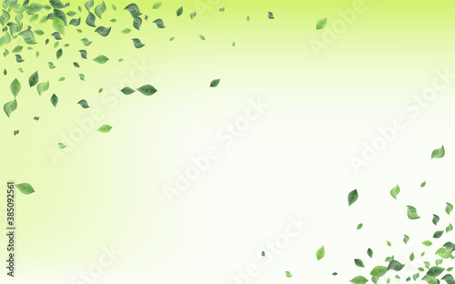 Swamp Greenery Flying Vector Green Background 