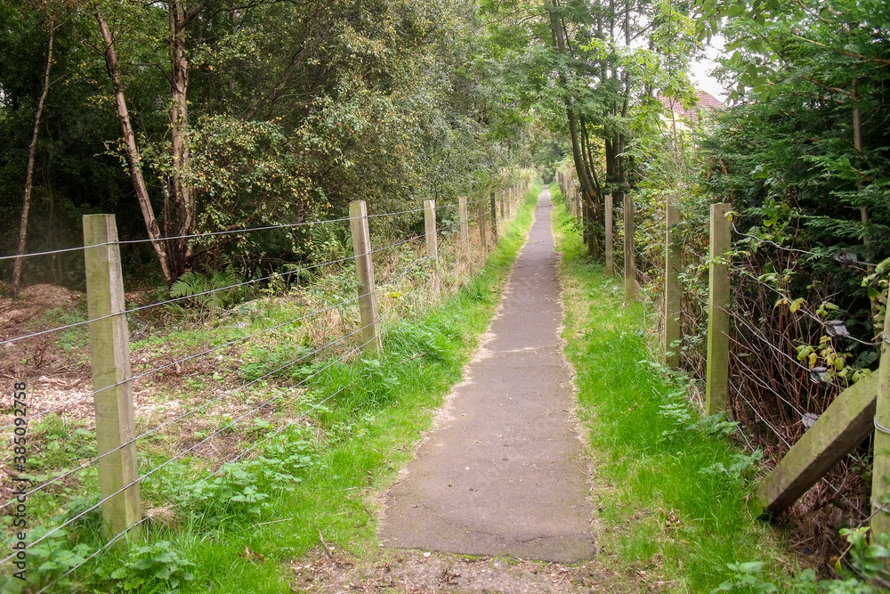 Edinburgh, Scotland. Forest surrounding the neighborhood of South Queensferry-Dalmeny close to the Firth of Forth Edinburgh, Scotland. Forest surrounding the neighborhood of South Queensferry-Dalmeny close to the Firth of Forth