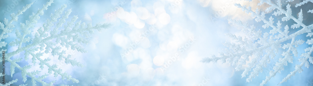 Beautiful Christmas or Winter background with snowy and icy branches of plants on shiny bokeh backdrop. Soft focus Beautiful Christmas or Winter background with snowy and icy branches of plants on shiny bokeh backdrop. Soft focus