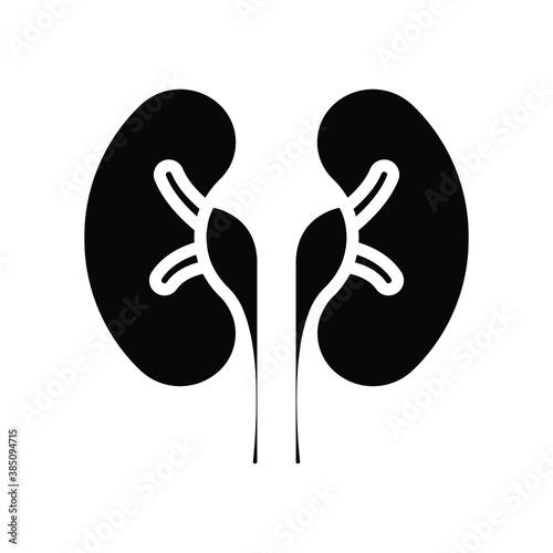 Kidneys internal human organ glyph icon