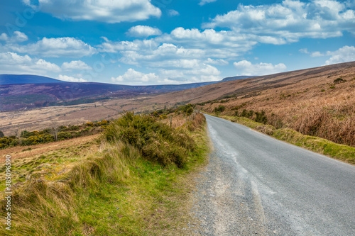 Country road in Ireland during the Summer